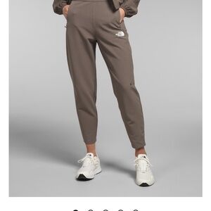 The North Face Women's Brown Jogger Pants